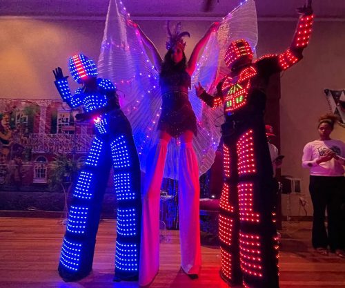 led-performer-left-img