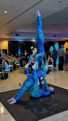 peacockShoulderStandOnSandwich